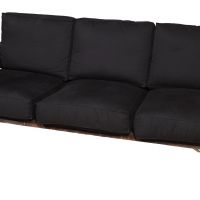 3. Asa-3p